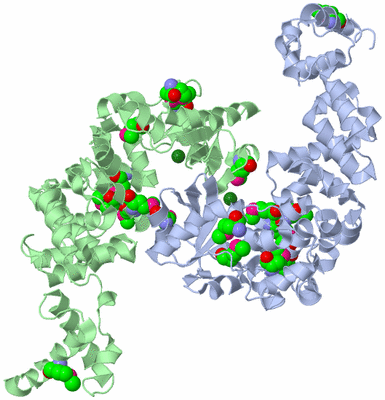 Image Asym./Biol. Unit