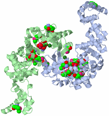 Image Asym./Biol. Unit