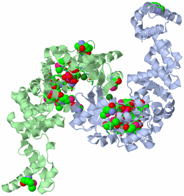 Image Asym./Biol. Unit - sites