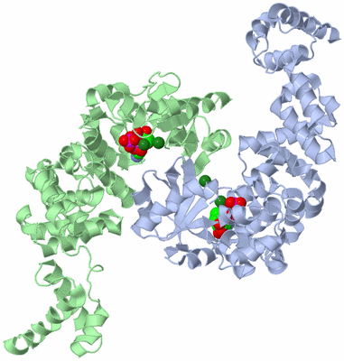 Image Asym./Biol. Unit