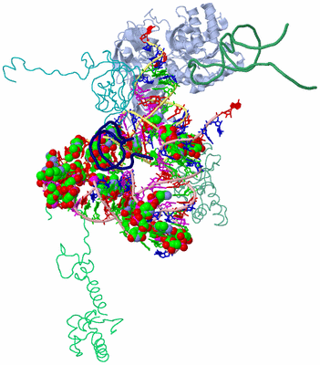 Image Asym./Biol. Unit