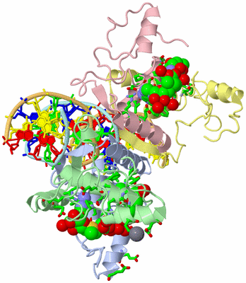 Image Asym./Biol. Unit - sites