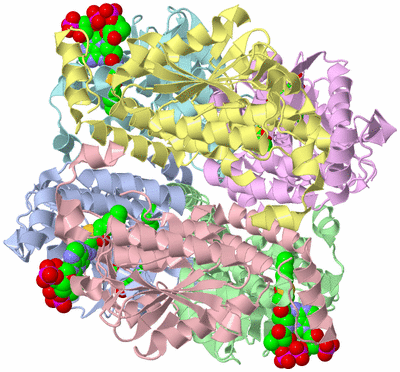 Image Asym./Biol. Unit