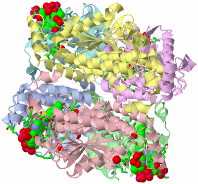 Image Asym./Biol. Unit - sites