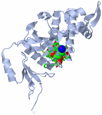 Image Biol. Unit 1 - sites