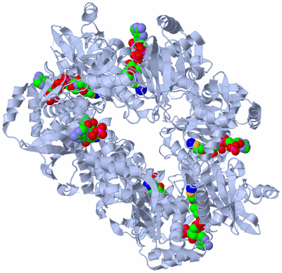 Image Biological Unit 3