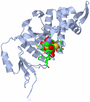 Image Biol. Unit 1 - sites