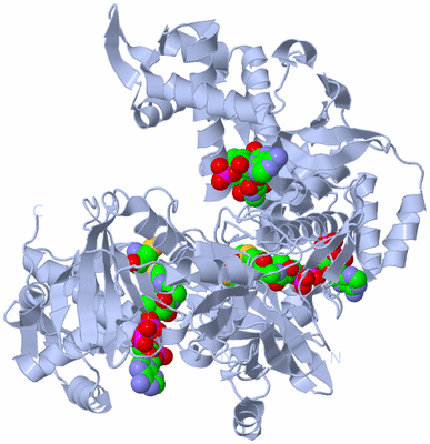 Image Biological Unit 2