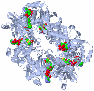 Image Biological Unit 3