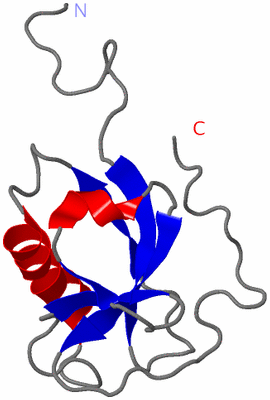 Image NMR Structure - model 1