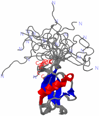 Image NMR Structure - all models