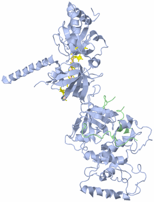 Image Asym./Biol. Unit