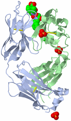 Image Biological Unit 1