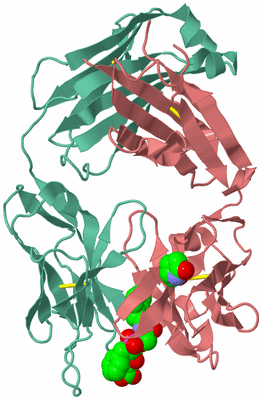 Image Biological Unit 2