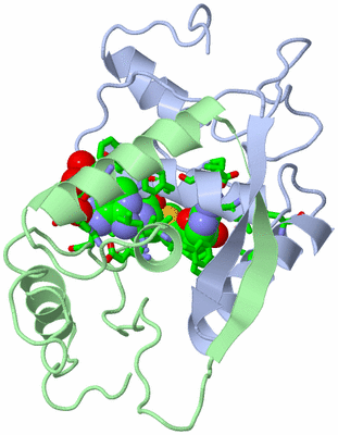 Image Asym./Biol. Unit - sites