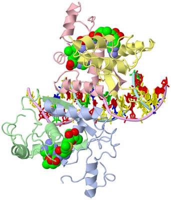 Image Biological Unit 1