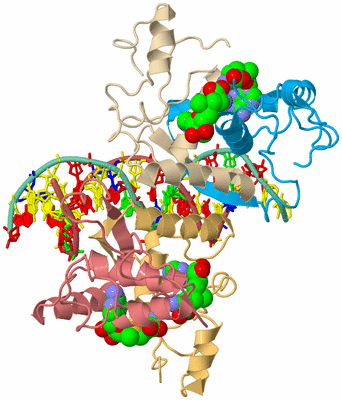 Image Biological Unit 2