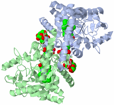 Image Asym./Biol. Unit