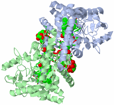 Image Asym./Biol. Unit - sites