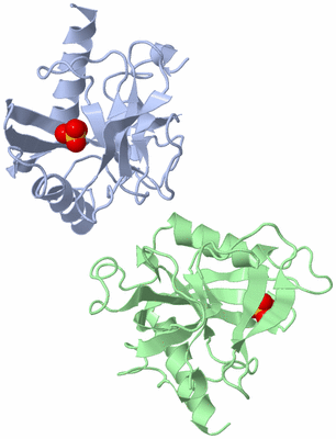 Image Asymmetric Unit