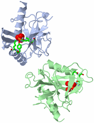 Image Asym. Unit - sites