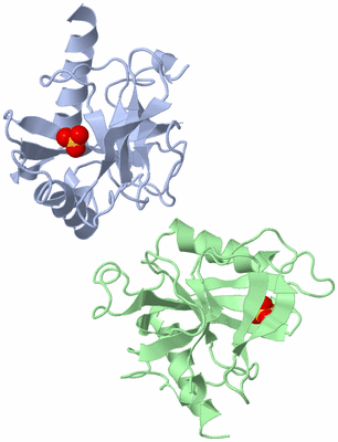 Image Asymmetric Unit