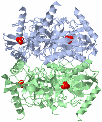 Image Biological Unit 1