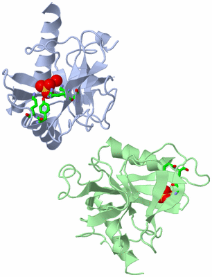 Image Asym. Unit - sites