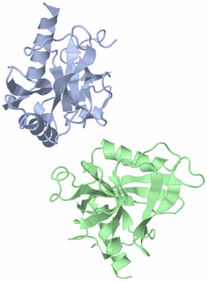 Image Asymmetric Unit