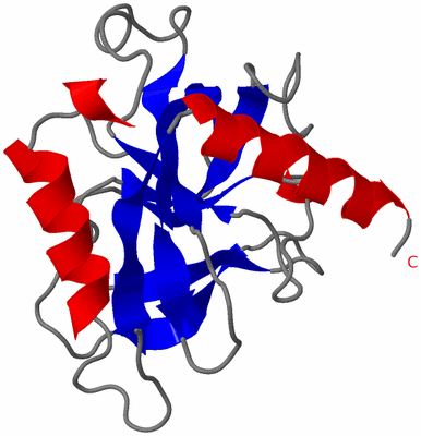 Image Asymmetric Unit
