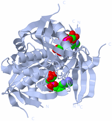 Image Biological Unit 1