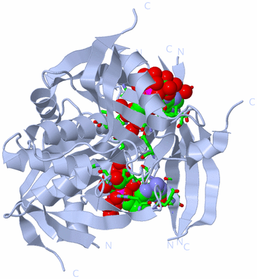 Image Biol. Unit 1 - sites