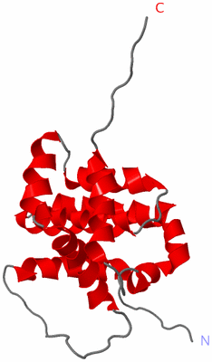 Image NMR Structure - model 1