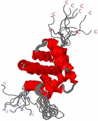 Image NMR Structure - all models