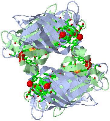 Image Biol. Unit 1 - sites