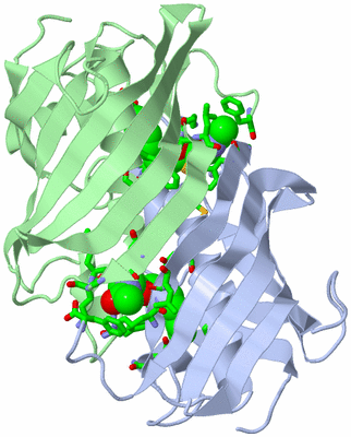 Image Asym./Biol. Unit - sites