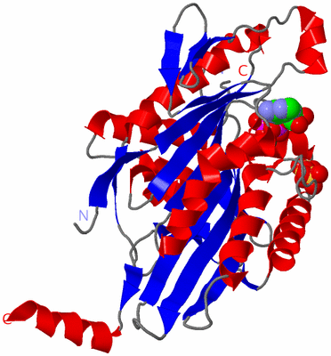 Image Asym./Biol. Unit