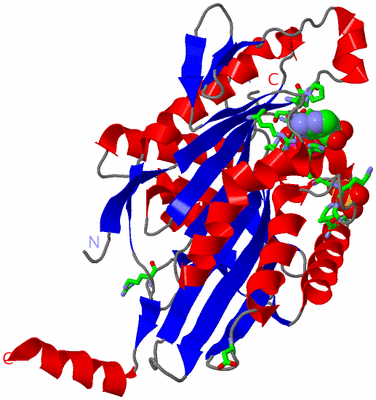 Image Asym./Biol. Unit - sites