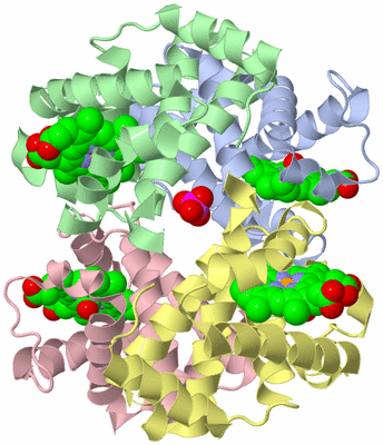 Image Asym./Biol. Unit