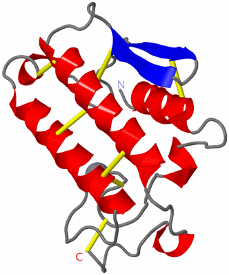 Image Asymmetric Unit