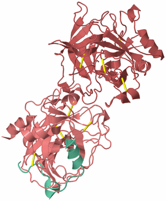 Image Asymmetric Unit