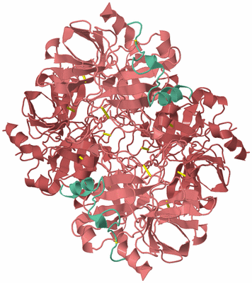 Image Biological Unit 3