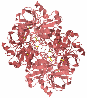 Image Biological Unit 5