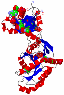 Image Asym./Biol. Unit