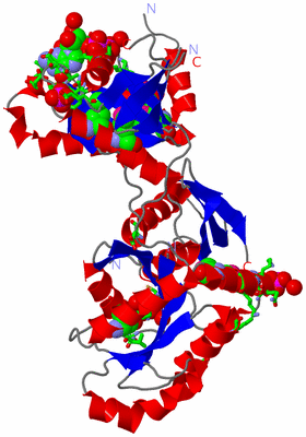 Image Asym./Biol. Unit - sites