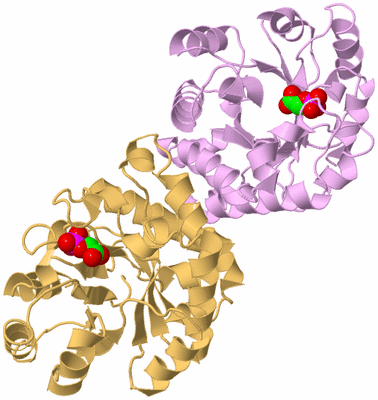 Image Biological Unit 2