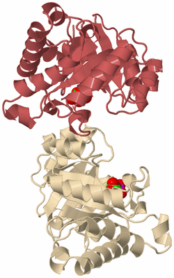 Image Biological Unit 3