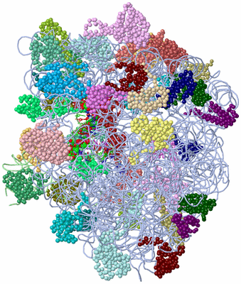 Image Asym./Biol. Unit