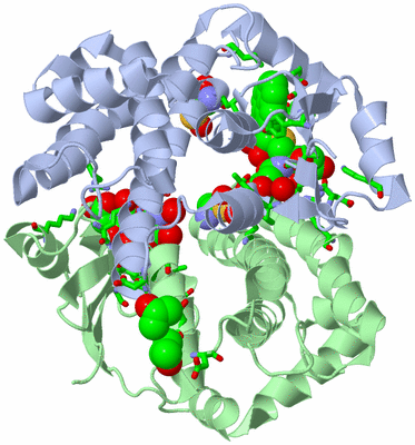 Image Asym./Biol. Unit - sites