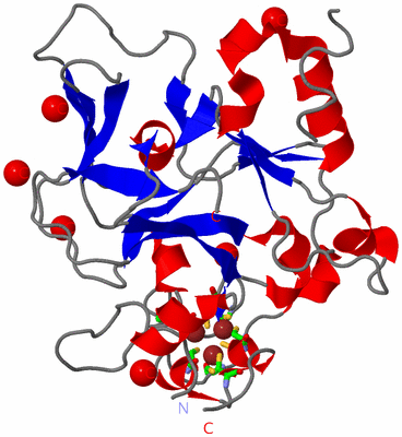 Image Asym./Biol. Unit - sites